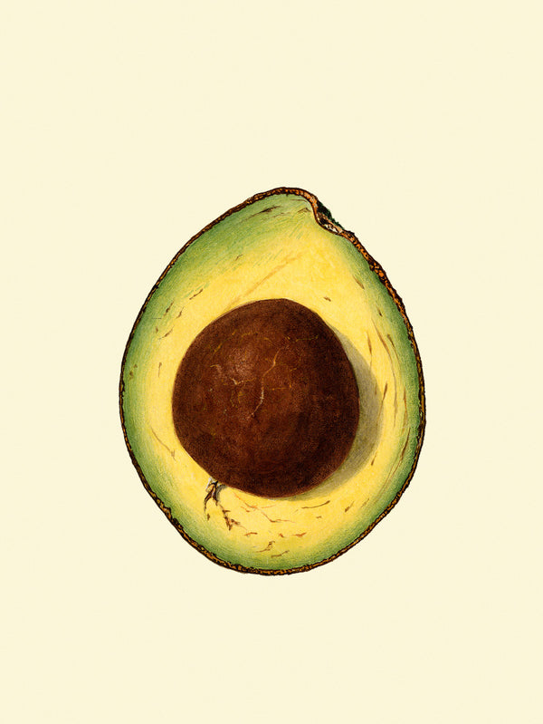 Avocado Open