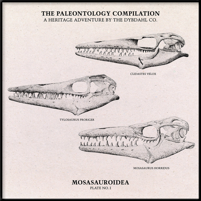 Mosasauroidea II.