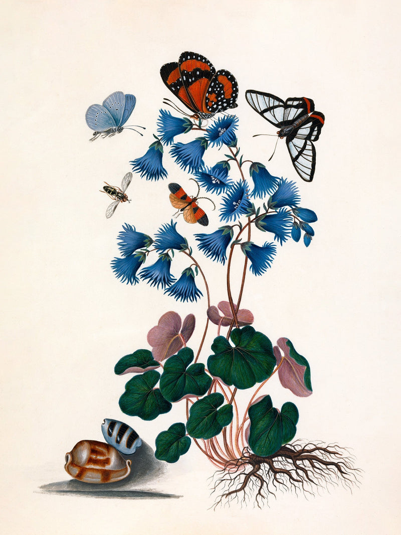 Butterflies & Blue Flowers