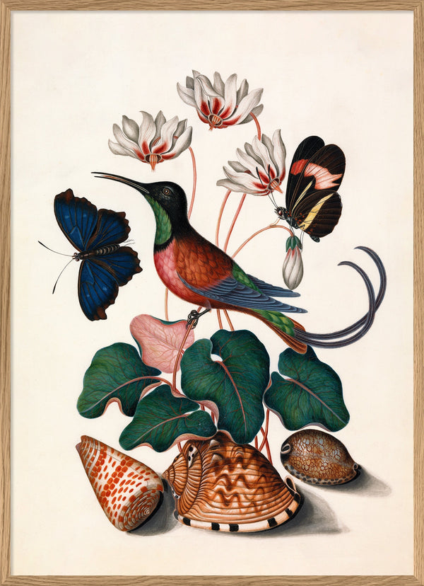 Hummingbird, Butterflies & Flowers